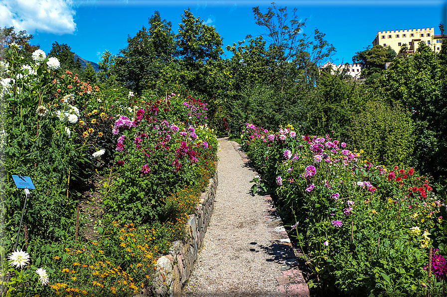 foto Giardini Trauttmansdorff - Paesaggi dell'Alto Adige